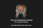 Vias da Sensibilidade Especial - Dr. Gerardo Cristinogerardocristino.com.br/.../viasdasensibilidadeespecial.pdf · A parede interna dá origem à camada nervosa da retina ... (artérias