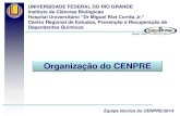 Organização do CENPRE e avaliao... · Programa de Saúde da Família –PSF (como médicos, enfermeiros, auxiliares de enfermagem, agentes comunitários de saúde, dentre outros)