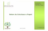 Setor de Celulose e Papel - colheitademadeira.com.br · Elegibilidade das florestas em exaustão Comercialização de Carbono em OBJETIVOS 17 Florestas Plantadas e em Áreas Preservadas