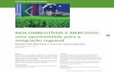 Fernando Rabello BiocomBustíveis e meRcosul: uma ... · suas consequências no desenvolvimento econômico e na estabilidade política dos países, tais como: (a) o potencial ...