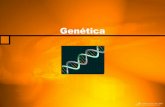 Genética - Sacramentinas - Colégio Nossa Senhora de ... · Conceitos Básicos •O que é genética? •É o estudo dos genes e de sua transmissão para as gerações futuras. •É