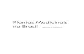 Plantas Medicinais no Brasil - Site Ruasruas.com.br/livros/plantasmedicinaislorenzzi.pdf · Plantas Medicinais no Brasil – nativas e exótica . ÍNDICE DE NOMES POPULARES abacate