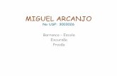 MIGUEL ARCANJO No USP: 3003026 - geografia.fflch.usp.br · MIGUEL ARCANJO No USP: 3003026 Barranco – Escola . ro . arranco- 2001