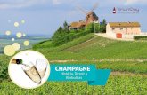 CHAMPAGNE - Um vinho para cada dia!blog.vinumday.com.br/wp-content/uploads/2016/12/ebook-Champagne-ok.pdf · O nome Champagne virou praticamente um sinônimo da categoria espumante,