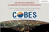 INCENTIVOS MINEIROS A GERAÇÃO DE ENERGIAS RENOVÁVEIS - Exposolar BARBOSA - GOVERNO DE MINAS... · • Promoção e incentivo à produção e consumo de energia de fontes renováveis