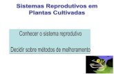 Morfologia floral (unissexuais ou hermafroditas) - UENFuenf.br/Uenf/Downloads/LMGV_8765_1336600825.pdf · Processos de fecundação e fertilização . Reprodução Assexual •Propagação