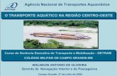 Agência Nacional de Transportes Aquaviários O TRANSPORTE ...web.antaq.gov.br/Portal/pdf/palestras/Jul0427ANTAQWalneonCampo... · Exploração da infra-estrutura aquaviária federal.