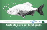 Embrapa Brasileira de Pesquisa Agropecuária - Portal Sebrae Sebrae/UFs/RR/Anexos/gosto_barro... · Além disso, a qualidade da ração influencia o gosto e a textura do peixe. Mas