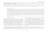 Adenocarcinoma gástrico Borrmann tipo IV: análise dos ...cbc.org.br/wp-content/uploads/2013/07/Antonio-Carlos-Accetta.pdfAccetta Adenocarcinoma gástrico Borrmann tipo IV: análise