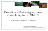 Desafios e Estratégias para consolidação do SNUC · 9985/2000) Plano Estratégico Nacional de Áreas Protegidas – PNAP (Dec. 5758/2006) Áreas prioritárias para a conservação,