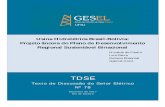 TDSE - gesel.ie.ufrj.brgesel.ie.ufrj.br/app/webroot/files/publications/30_tdse78.pdf · foco da atenção do Brasil. Em 2015, foi assinado um aditivo ao Memorando de ... (CNDC, 2016).
