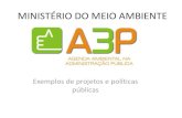 MINISTÉRIO DO MEIO AMBIENTE · Decreto 4.131/2002 –Redução do consumo de energia elétrica ... Racionalização do uso de água. ... Slide 1 Author: Computador ...