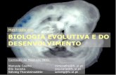 Mestrado em BIOLOGIA EVOLUTIVA E DO DESENVOLVIMENTO · Biologia e Tecnologia de Células Estaminais (G. Rodrigues) 6 Genes e Moléculas no Desenvolvimento (S. Thorsteinsdóttir) 6