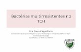Bactérias multirresistentes no TCH - sbtmo.org.brsbtmo.org.br/userfiles/fck/file/AULAS_I Encontro SBTMO - 2017... · Neutropenia Febril E.J. Bow. J Antimicrob Chemother; 2013(68)