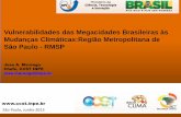 Vulnerabilidades das Megacidades Brasileiras às Mudanças ...site.sabesp.com.br/uploads/file/Vulnerabilidades das Megacidades... · espacial e temporal do campo de temperatura sobre