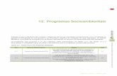 12. Programas Socioambientais - iema.es.gov.br · Construção da Subestação Linhares II ... fundamental que se crie uma estrutural gerencial baseada em um conjunto inter-relacionado