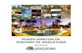 PLANO MUNICIPAL DE TURISMO DE ARAÇATUBA - … · parte de seu lucro líquido. 5 3. ... possuem as técnicas necessárias para alcançar este objetivo. Um Plano Diretor de Turismo