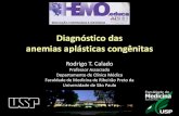 Diagnóstico das anemias aplásticas congênitas - ABHHbcf1.cdn.upx.net.br/falenciamedular/pdf/mod3_aula1.pdf · • Genital: micropênis, atrofia testicular, hipospádia, útero