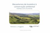Mecanismos de incentivo à conservação ambiental - IB · • Bióloga e Mestre em Ecologia (Ecologia Vegetal) pela USP • Especialização em Política e Relações Internacionais