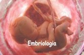 Embriologia - singularsaobernardo.com.br · Embriologia •Estudo do ... •Processo que se inicia a partir da fecundação. ... animal. É um tipo de ovo característico de répteis