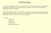 Embriologia - colegioequipe.com.br · - A Embriologia é a ciência que estuda a formação dos complexos órgãos e sistemas de um animal, ... Membrana de fecundação .