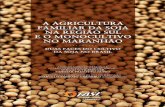Nestas novas áreas, a agricultura familiar, PUBLICAÇÃO · a agricultura familiar da soja na regiÃo sul e o monocultivo no maranhÃo duas faces do cultivo da soja no brasil 1ª