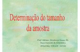 Prof. Adriano Mendonça Souza, Dr. - Bem Vindo - UFSMw3.ufsm.br/adriano/aulas/tamamos/tamos.pdf · 2009-03-31 · relacionadas ao processo de amostragem. E, às vezes ... Suponha