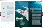 PROSUB folder final - marinha.mil.br · nova Base Naval e dos Estaleiros de Construção e Manutenção dos submarinos evoluem com excelência, consolidando o Programa de Desenvolvimento