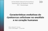 Universidade Federal de Pernambuco Departamento de …sticas-evolutivas... · Inflamação + + + + + Congestão + Gliose + Proliferação vascular + + + + »Evolução do Cisticerco