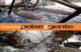 peixe gentemuseudaamazonia.org.br/wp-content/uploads/2015/12/Peixe-e-gente... · realizada uma oﬁcina com os Agentes Indígenas de Manejo Ambiental e conhecedores indígenas ...