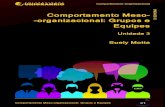 UE 3 Comportamento Meso- -organizacional: Grupos e Equipesstorage.googleapis.com/wzukusers/user-15991486/documents... · Embora as equipes de trabalho tenham crescido em popularidade