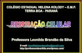Professora Leonilda Brandão da Silva · desse apenas da fermentação como fonte de energia. Ler texto: Botulismo e tétano p. 119