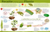 Cartaz-de-massa-vegetal-portuguese · energia é necessária para crescer. Plantas obtêm sua energia a partir do sol. ... A história de como as plantas usam carbono para crescer