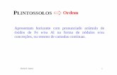 Latossolos e Plintossolos - Blogs UFVJMsite.ufvjm.edu.br/icet/files/2016/09/Latossolos-e-Plintossolos.pdf · Sheila R. Santos 6 SiBCS: ... (com predomínio de petroplintita) do tipo