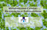 Metabolismo Celular: Respiração e Fotossíntesejvasconcellos.com.br/fat/wp-content/uploads/2011/03/Aula-05.pdf · • Essa reação é capaz de liberar cerca de 686 kcal/mol; •