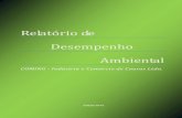 RELATÓRIO DE DESEMPENHO AMBIENTAL - coming.com.br“RIO-DE... · Relatório de Desempenho ... pela legislação ambiental de redução de 60% de DBO (demanda bioquímica de ... Escola