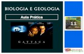 BIOLOGIA E GEOLOGIA - biogeogondomar.pbworks.combiogeogondomar.pbworks.com/w/file/fetch/59264330/BG 11... · TRABALHO DE GRUPO . Nuno Correia 2012-13 ... uma breve abordagem do(s)