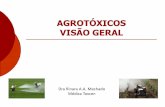 AGROTÓXICOS VISÃO GERAL - toxcen.es.gov.br 2018/6-Agrotoxicos-1.pdf · náusea, vômito, odinofagia, dor abdominal, diarréia Lesões inflamatórias TGI Paraquat. Paraquat *FASE