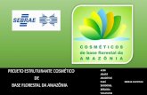 PROJETO ESTRUTURANTE COSMÉTICO DE BASE … · amazônica e identificação de oportunidades de negócio para insumos e produtos acabados visando identificar os entraves e gargalos