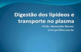 Profa. Alessandra Barone  · Digestão de lipídeos A porção principal da digestão ocorre no intestino delgado, pela ação da lipase pancreática . A presença de ácidos graxos