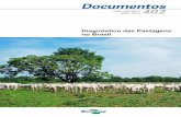 Diagnóstico das Pastagens no Brasil - Principal - Agropedia brasilisainfo.cnptia.embrapa.br/digital/bitstream/item/102203/1/... · 2014-05-15 · ... das características climáticas