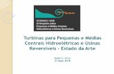 Turbinas para Pequenas e Médias Centrais Hidroelétricas e ...cbdb.dataapp.com.br/wp-content/uploads/2018/05/Euler-Carvalho.pdf · turbina, dependendo da direção de rotação.