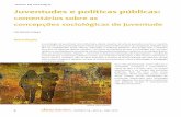 comentários sobre as concepções sociológicas de juventudepepsic.bvsalud.org/pdf/desi/v14/n14a02.pdf · A literatura sociológica europeia (Calvo, 2005; Pais, 1993) e latino-americana