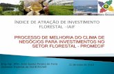 ÍNDICE DE ATRAÇÃO DE INVESTIMENTO FLORESTAL -IAIF · O BID → STCP Engenharia de Projetos Ltda → um estudo sobre a Investimentos Diretos em Negocios Florestais Sustentáveis