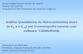 Análise Quantitativa de Hidrocarbonetos leves (n-C5 a n-C15 …pgqu.net/arquivos/Seminarios/ClariceLacerdaTorres_MSc.pdf · 2015-02-16 · Mistura teste 1) Avaliação da coluna