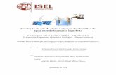 Produção de gás de síntese a partir de eletrólise da agua ...§ão.pdf · Produção de gás de síntese através da eletrólise da água usando biomassa liquefeita KATELINE