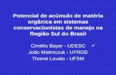 Potencial de acúmulo de matéria orgânica em ... - brasil.ipni.netbrasil.ipni.net/ipniweb/region/brasil.nsf... · Potencial de acúmulo de matéria orgânica em sistemas conservacionistas