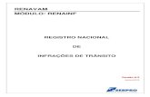 RENAVAM MÓDULO: RENAINF - consultaesic.cgu.gov.br · Módulo RENAINF Manual de Usuário DETRAN 5 Processos Básicos do Projeto O módulo RENAINF foi implementado dentro do Sistema