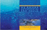 SUBTERRÂNEAS DO ESTADO DE SÃO PAULOarquivos.ambiente.sp.gov.br/publicacoes/2016/12/01-aguas-subterra... · mover a proteção das águas subterrâneas do Estado de São Paulo. ...