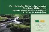 Fundos de Financiamento Socioambiental - abce.org.br · Os Estados Unidos é um dos países que tem uma das mais consolidadas e ... especificando uma tecnologia em particular a ser